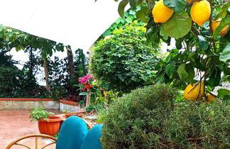 L'orchidea del faro - Foto 22