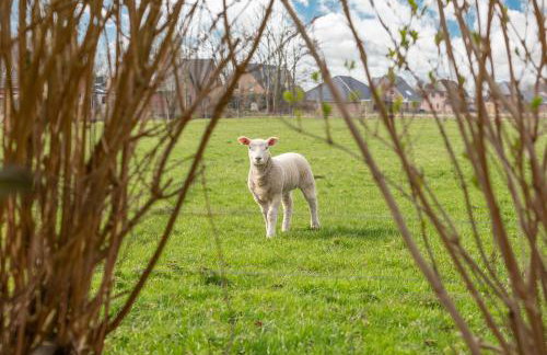 Ferienhaus Hyggehüs - Foto 13