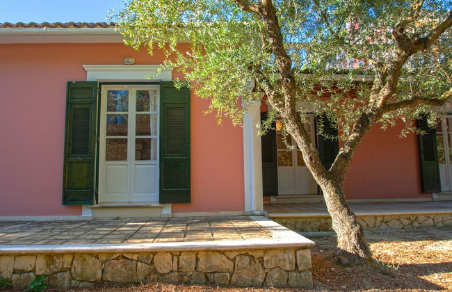 Doliva Estate - Foto 51