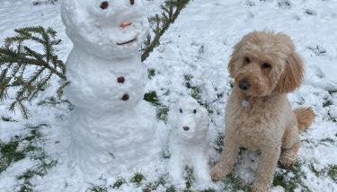 Ferienwohnung Wie zu Hause - Foto 3