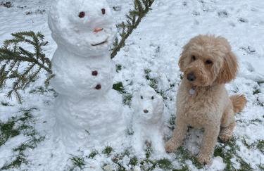 Ferienwohnung Wie zu Hause - Foto 3