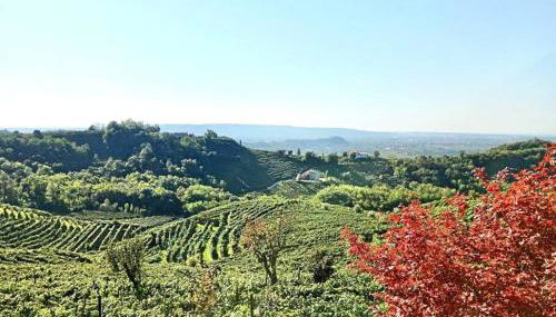 Relax nelle colline del Prosecco - Foto 4