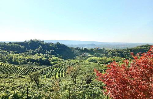 Relax nelle colline del Prosecco - Foto 4