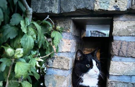 Quartier im Gutshaus - Foto 44