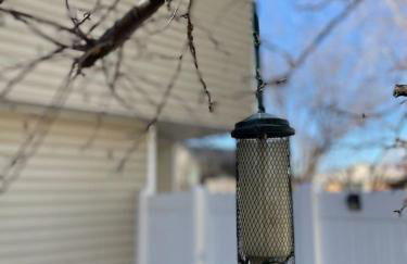 Scholar's Loft - Near University of Utah! - Foto 53