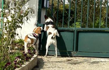 Casa dos Invernos - Foto 24