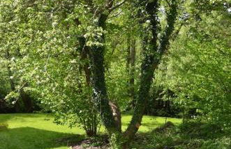 Bucket Lock Cottage - Foto 14