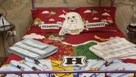 Casa da Relva Experiência Temática Inspirada em Harry Potter - Foto 4