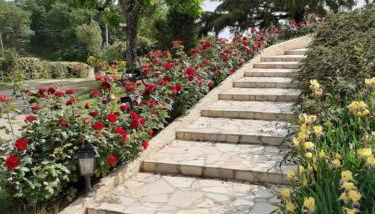 Gite de La Cheneraie - Foto 3