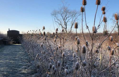 Private Shepherds hut with Castle view - Foto 28