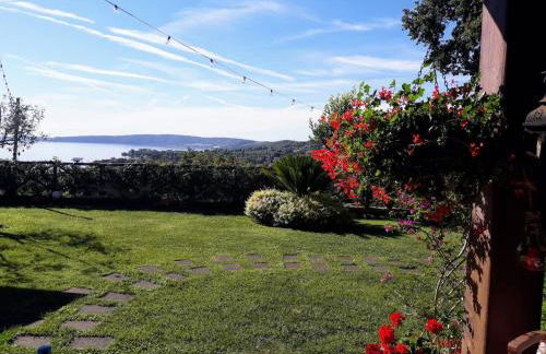 La Cerasa - il Lago fuori - Foto 12