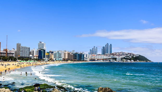 Busan City - Tour Privado de Dia Inteiro - Foto 2