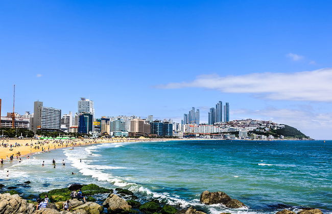 Busan City - Private Ganztages-Tour - Foto 2