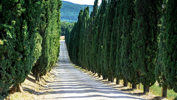 Borgo di Pietrafitta Relais - Foto 3