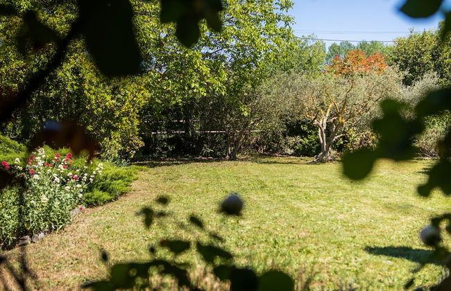 Mas du Jujubier - Foto 41