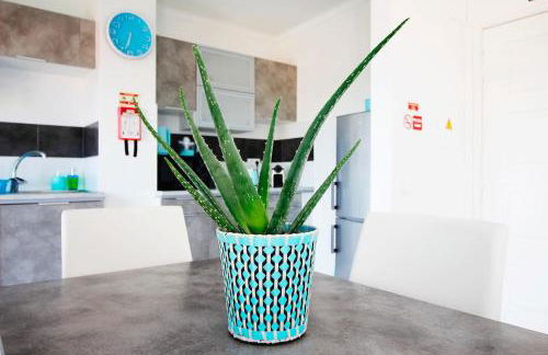 RiaMar - Praia da Vagueira - Foto 8