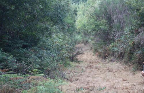 Retiro Da Arminda - Foto 76