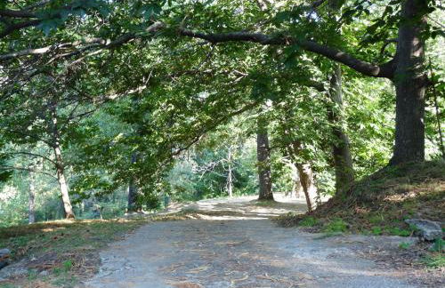 Los Prejones - Photo 31