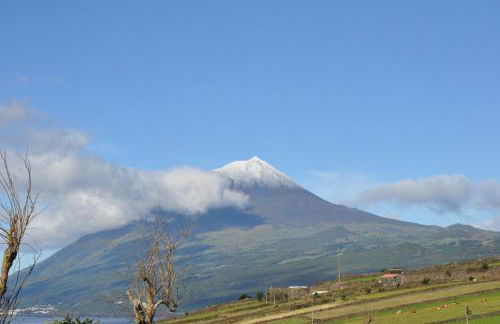 Casa da Abrótea - Photo 2