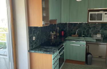 Trois pièces sur parc de la Villette Terrasse et vues - Foto 7