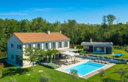 Luxury villa Povetica with pool in Vizinada - Foto 1