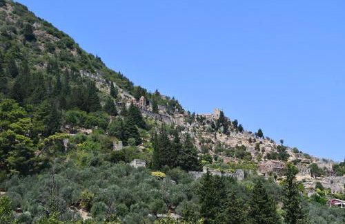 Blue and Green Guesthouse - Foto 14