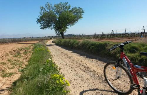 Gîtes "tout au sud de la France" - Foto 58