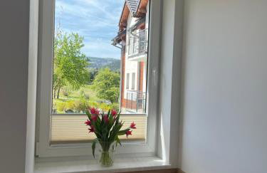Karkonoskie Widoki Apartamenty - Foto 41