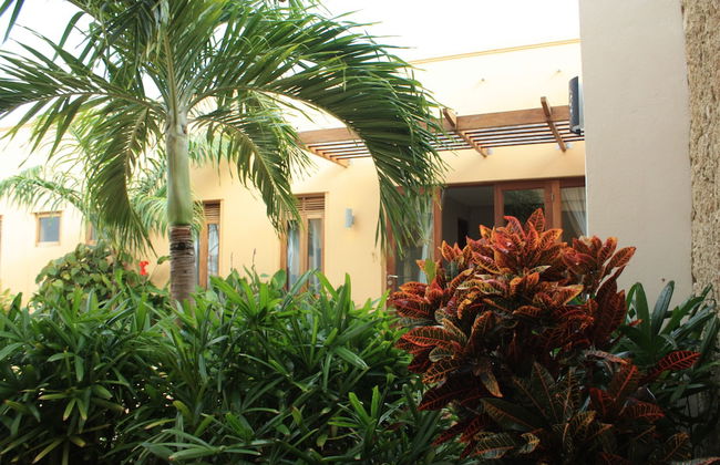 Galu Tulivu - Foto 39