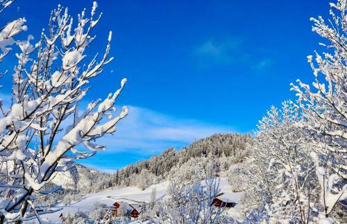 Logement 3 étoiles avec vue imprenable sur les montagnes, ski bus - Foto 31