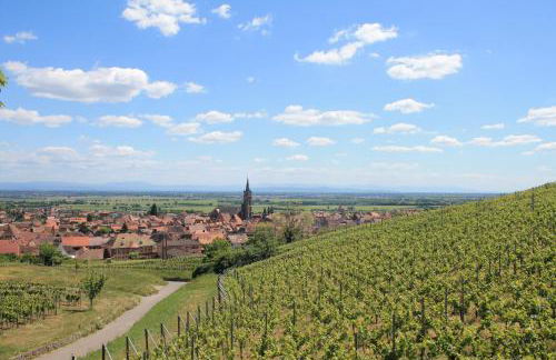 APPARTEMENT JANGO - Au Calme des Vignes - Parking privatif & Animaux Bienvenus - Foto 35