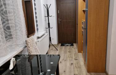 SAWAGO przytulne mieszkanie u Gosi Lekowo Ciechanów - Foto 11