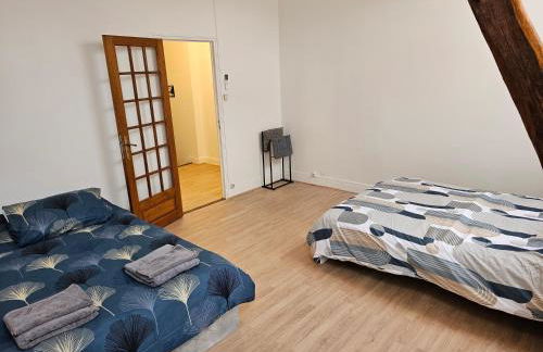 Gîte entre vigne et loire Sancerre - Foto 21