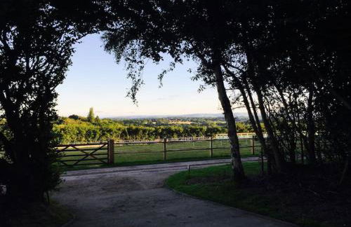 Woodside Cottages - Ash cottage (self-catering) - Foto 7