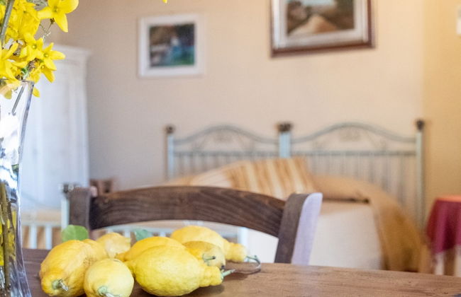 Country House in Touscany ID 4161 - Foto 2