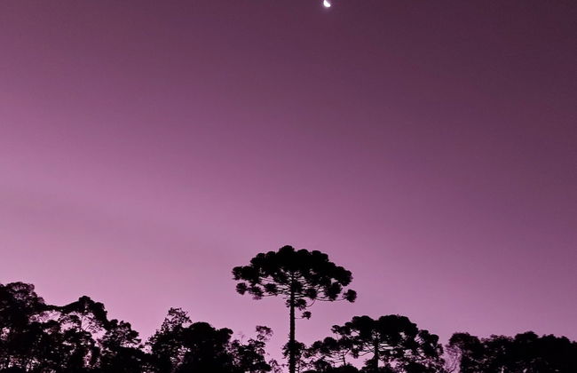 Villa da Serra Chalé Ibitipoca - Foto 27