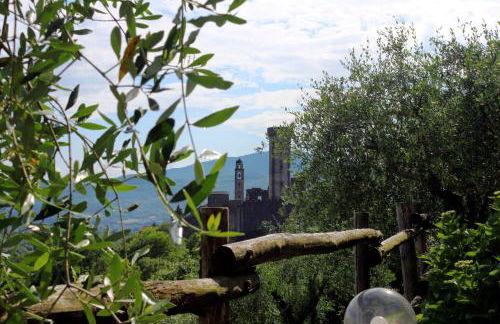 Appartamenti l'Olivo - Foto 16