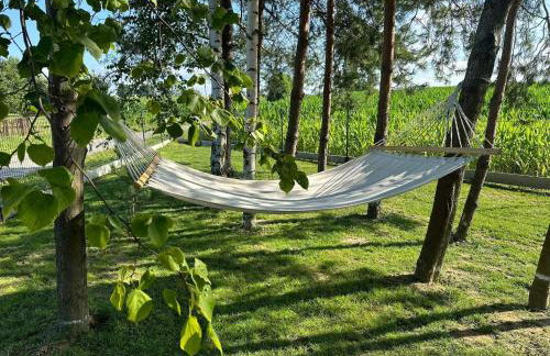 Dom z jacuzzi & tarasem całoroczny do 10 osób DOM NA PROMOWEJ - LAS, Zator - Photo 20