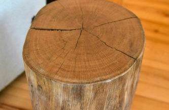 Log Cabins In The Upper Harz Mountains - Foto 7