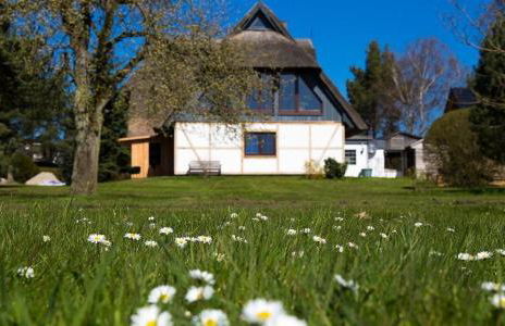 Haus Schilfkante - Wohnung 2 - Foto 16