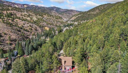 King of the Mountain. Private Hot Tub. Pets allowe - Foto 5