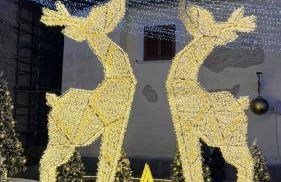 La farfalla del vicolo - Foto 58