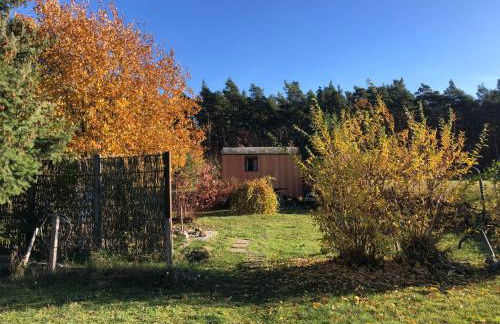 Apartment Spitzwegerich by Interhome - Foto 22