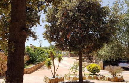 VILLA SABA - Foto 56