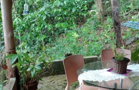 Chalé Refúgio dos Aventureiros Mata Atlântica - Foto 4