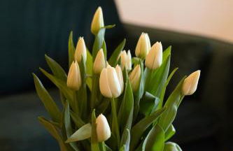 Reethus 22 Loft 3 - Foto 11