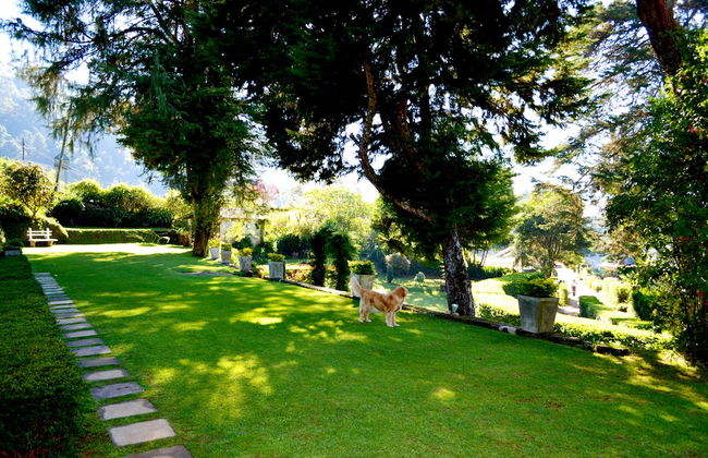 Brockenhurst Bungalow - Foto 28