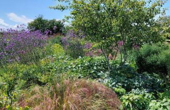 2 Bed in Yoxford oc-hharro - Foto 14