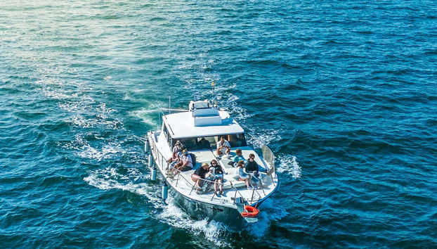 Navigando per Estepona