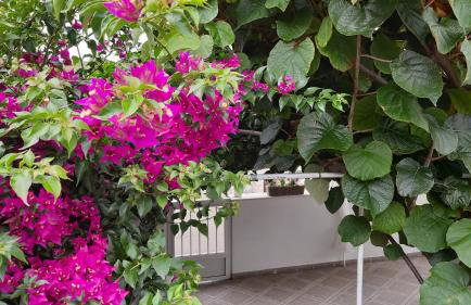 Studio apartman Kornelija - Foto 6